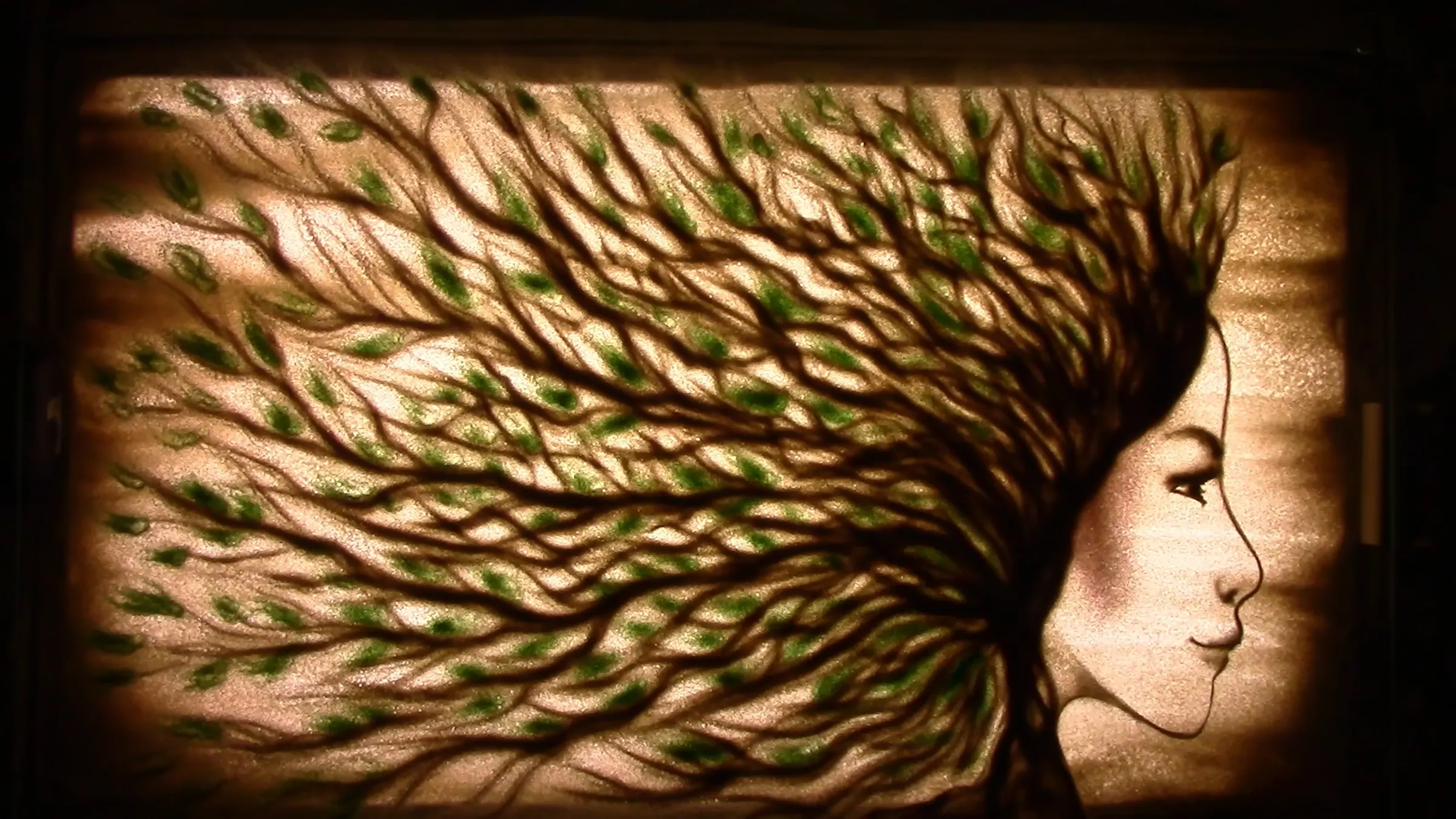 TNMK. Domy (Homes) 17