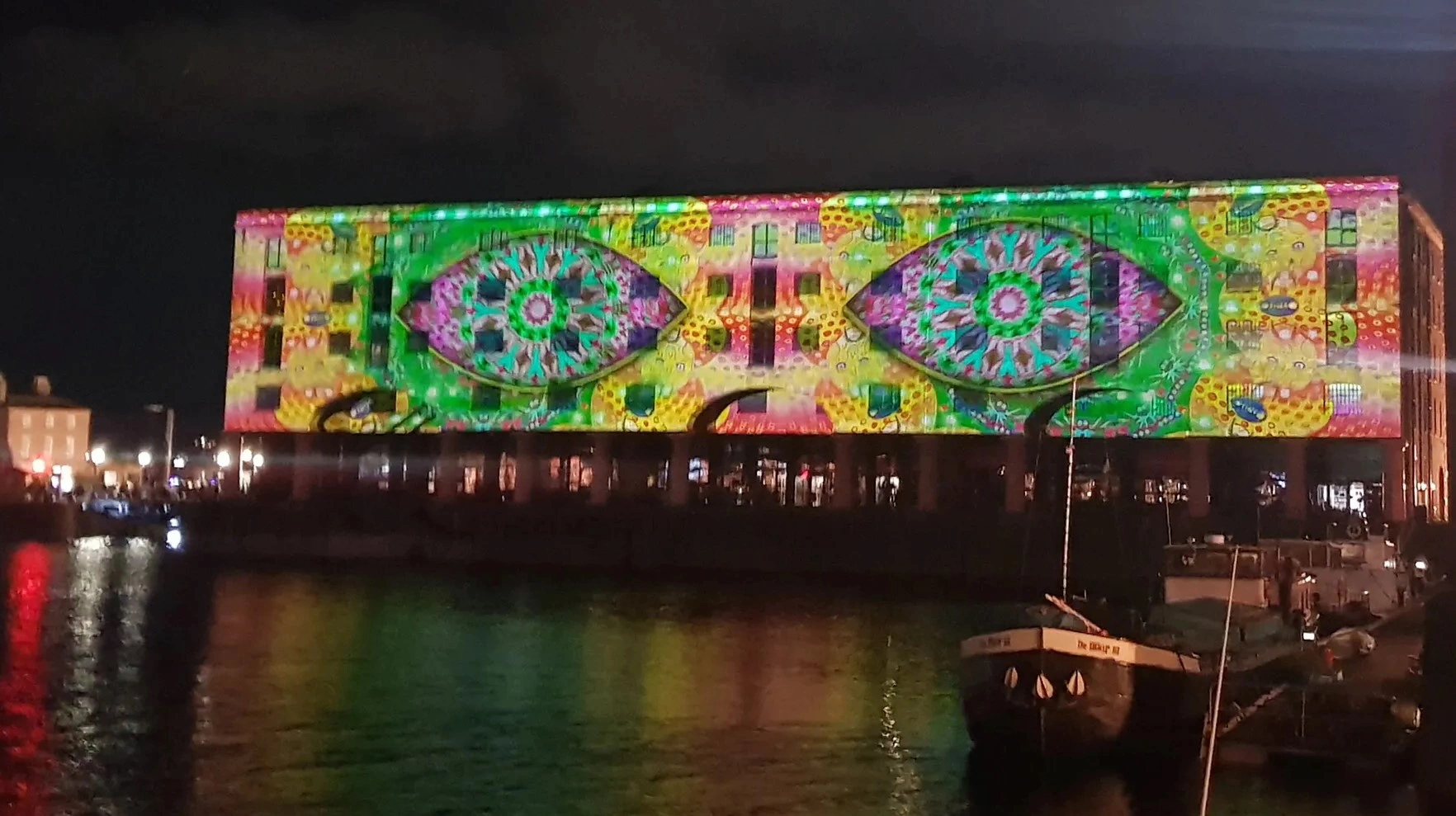 Ukrainian Dream: Immersive Legacy Of Maria Prymachenko 29